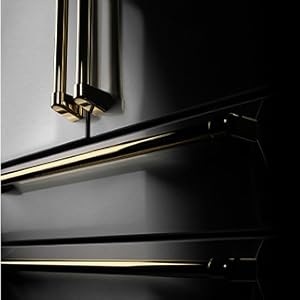 Fingerprint-Resistant Finish